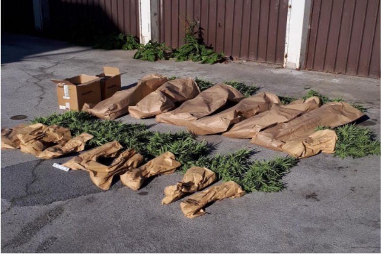 Slika /PU_ZG/slike/PUZ/2019/SRPANJ/25-07-2019-droga/foto_1_.jpg