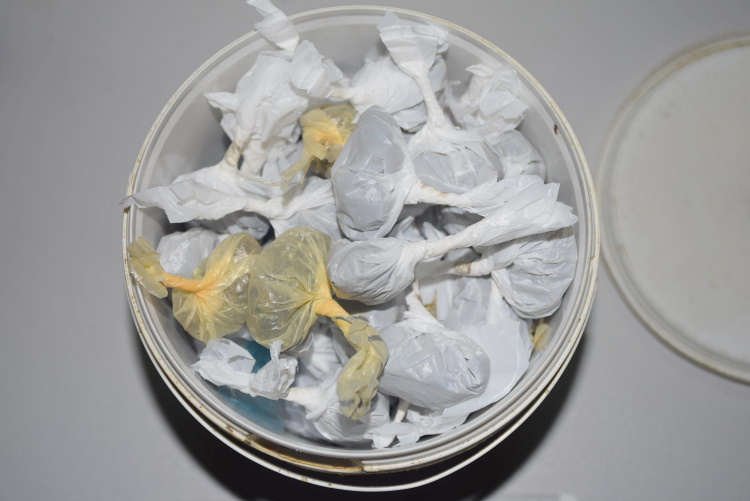 Slika /PU_ZG/slike/PUZ/2021/LISTOPAD/211021/foto06.jpg