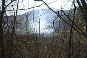 Slika PU_ZG/slike/MUP/vatrogasci/pozar03.jpg